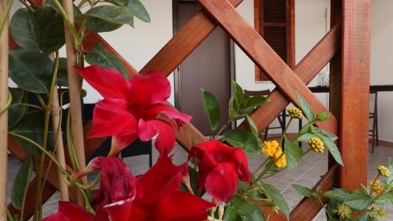 B&B Verzavo Четраро Экстерьер фото